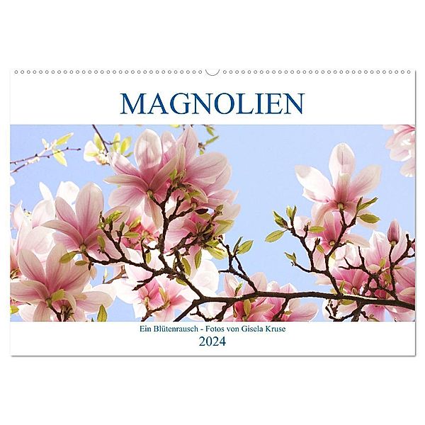 Magnolien Ein Blütenrausch (Wandkalender 2024 DIN A2 quer), CALVENDO Monatskalender, Gisela Kruse