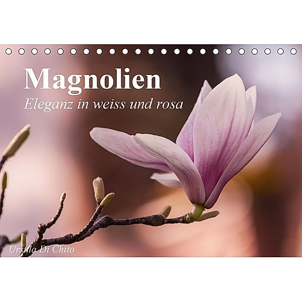 Magnolien - Eleganz in weiss und rosa (Tischkalender 2021 DIN A5 quer), Ursula Di Chito