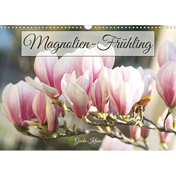 Magnolien-Frühling (Wandkalender 2022 DIN A3 quer), Gisela Kruse