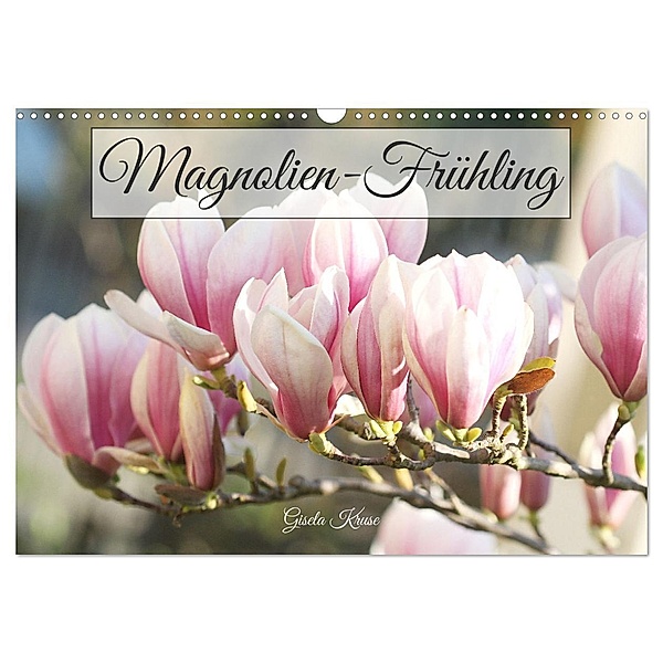 Magnolien-Frühling (Wandkalender 2024 DIN A3 quer), CALVENDO Monatskalender, Gisela Kruse