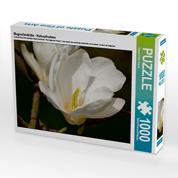 Magnolienblüte - Nahaufnahme (Puzzle), Hanns-Peter Eisold