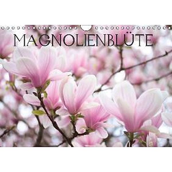 Magnolienblüte (Wandkalender 2016 DIN A4 quer), Gisela Kruse