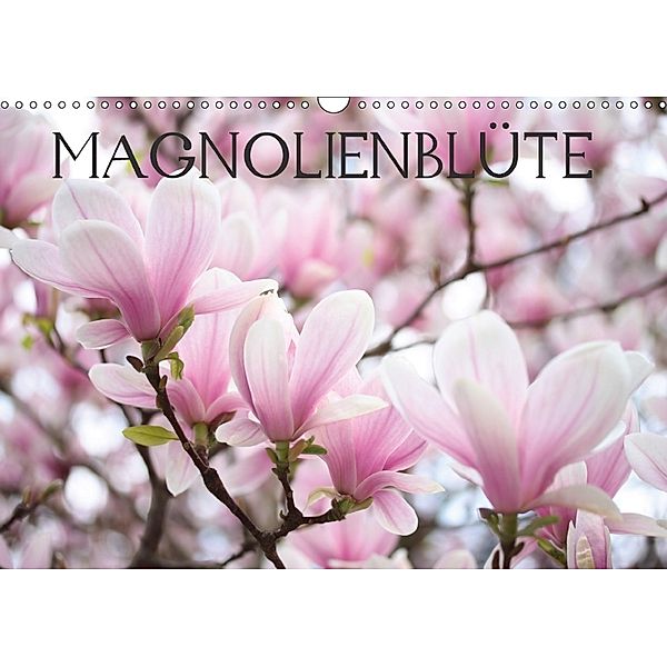 Magnolienblüte (Wandkalender 2018 DIN A3 quer), Gisela Kruse