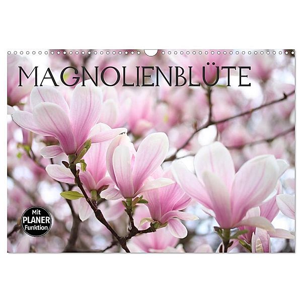 Magnolienblüte (Wandkalender 2024 DIN A3 quer), CALVENDO Monatskalender, Gisela Kruse