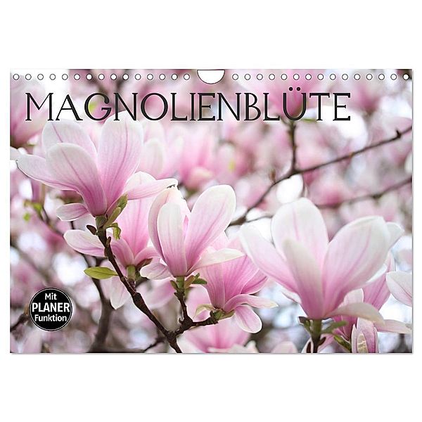 Magnolienblüte (Wandkalender 2025 DIN A4 quer), CALVENDO Monatskalender, Calvendo, Gisela Kruse