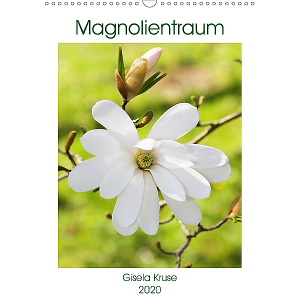 Magnolientraum (Wandkalender 2020 DIN A3 hoch), Gisela Kruse