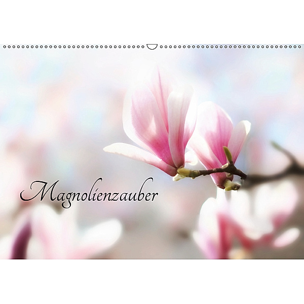 Magnolienzauber (Wandkalender 2019 DIN A2 quer), Uwe Herzog
