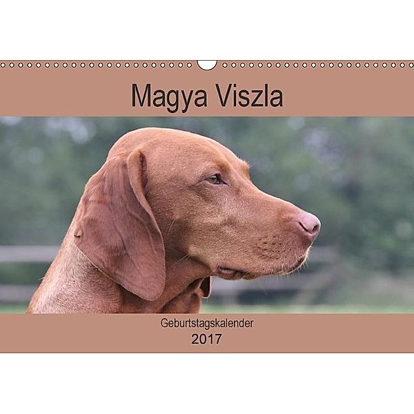 Magyar Viszla - Geburtstagskalender (Wandkalender 2017 DIN A3 quer), Barbara Mielewczyk