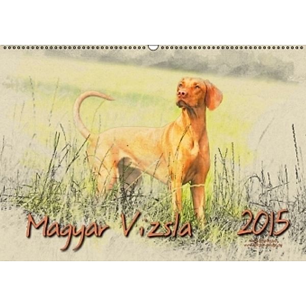 Magyar Vizsla 2015 (Wandkalender 2015 DIN A2 quer), Andrea Redecker