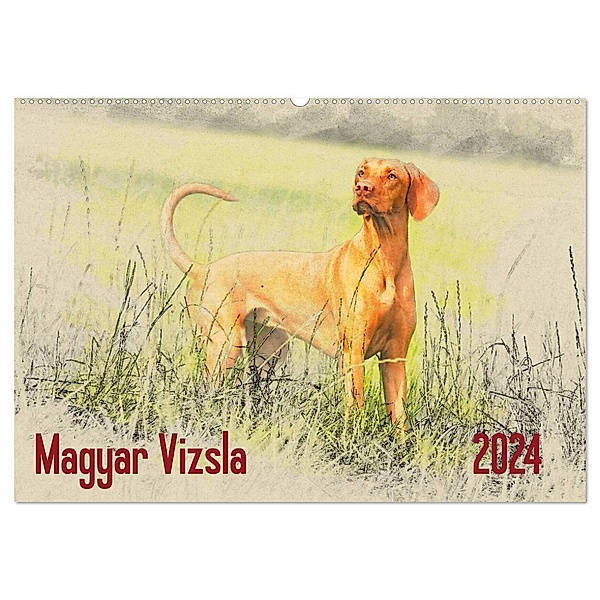 Magyar Vizsla 2024 (Wandkalender 2024 DIN A2 quer), CALVENDO Monatskalender, Andrea Redecker