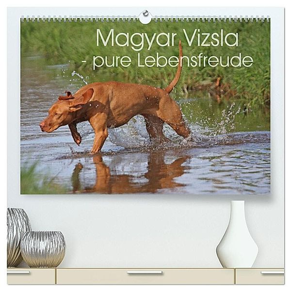 Magyar Vizsla - pure Lebensfreude (hochwertiger Premium Wandkalender 2024 DIN A2 quer), Kunstdruck in Hochglanz, Barbara Mielewczyk