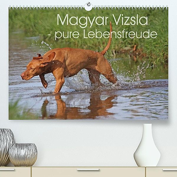 Magyar Vizsla - pure Lebensfreude (Premium, hochwertiger DIN A2 Wandkalender 2023, Kunstdruck in Hochglanz), Barbara Mielewczyk