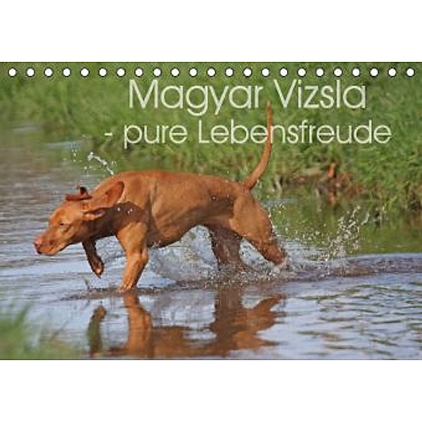 Magyar Vizsla - pure Lebensfreude (Tischkalender 2015 DIN A5 quer), Barbara Mielewczyk