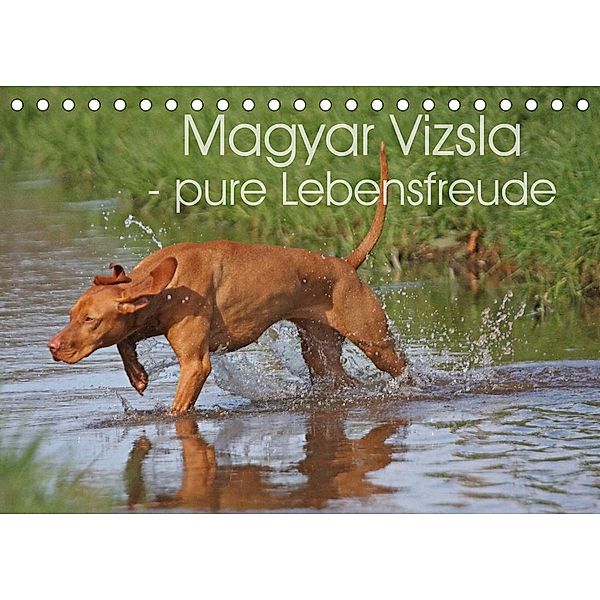 Magyar Vizsla - pure Lebensfreude (Tischkalender 2023 DIN A5 quer), Barbara Mielewczyk