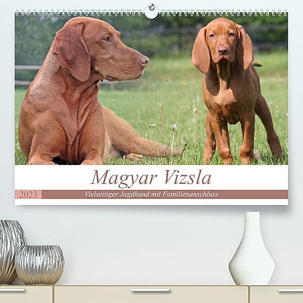 Magyar Vizsla - Vielseitiger Jagdhund mit Familienanschluss (Premium, hochwertiger DIN A2 Wandkalender 2023, Kunstdruck, Barbara Mielewczyk