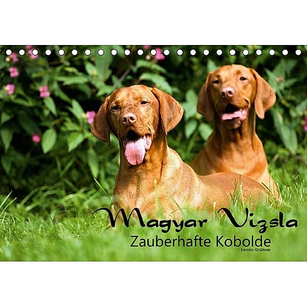 Magyar Vizsla - Zauberhafte Kobolde (Tischkalender 2018 DIN A5 quer), Kerstin Grüttner