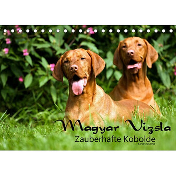 Magyar Vizsla - Zauberhafte Kobolde (Tischkalender 2022 DIN A5 quer), Kerstin Grüttner
