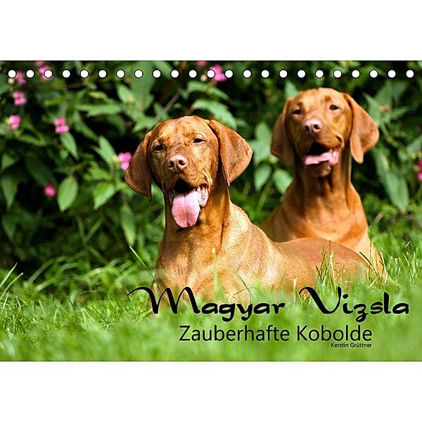 Magyar Vizsla - Zauberhafte Kobolde (Tischkalender 2023 DIN A5 quer), Kerstin Grüttner