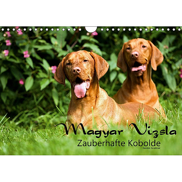 Magyar Vizsla - Zauberhafte Kobolde (Wandkalender 2019 DIN A4 quer), Kerstin Grüttner