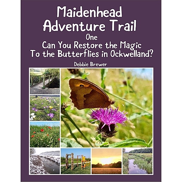 Maidenhead Adventure Trail One, Can You Restore the Magic to the Butterflies In Ockwelland?, Debbie Brewer
