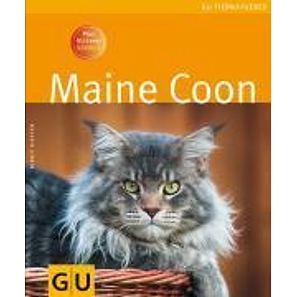 Maine Coon, Birgit Kieffer