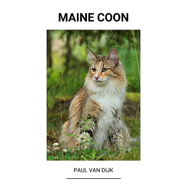 Maine Coon, Paul van Dijk