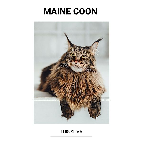 Maine Coon, Luis Silva