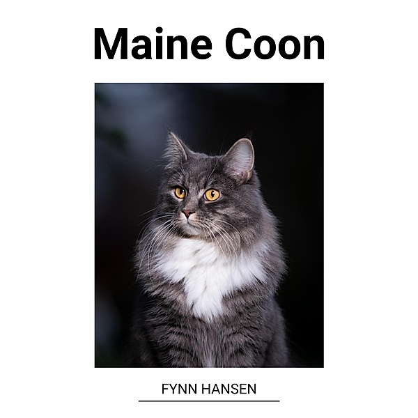 Maine Coon, Fynn Hansen