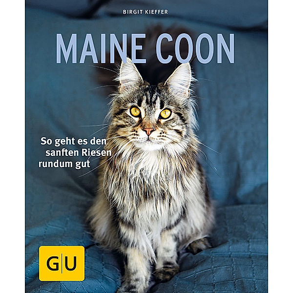 Maine Coon, Birgit Kieffer