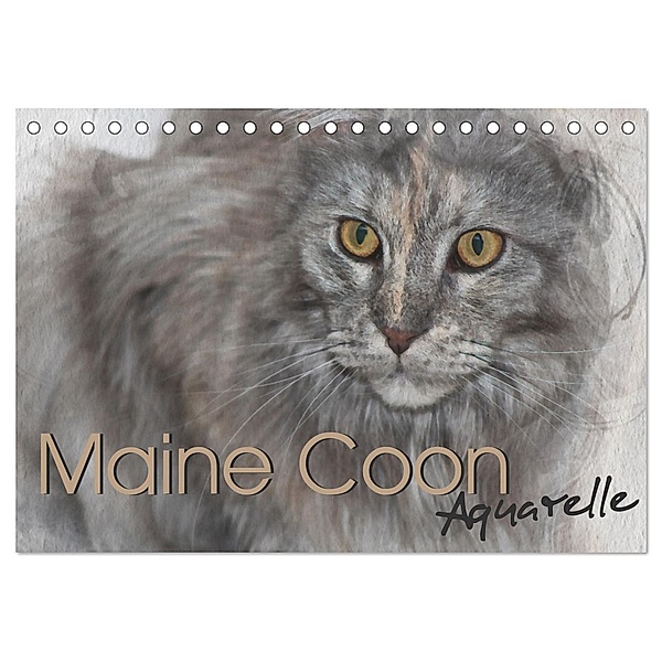 Maine Coon Aquarelle (Tischkalender 2024 DIN A5 quer), CALVENDO Monatskalender, Jasmin Hahn