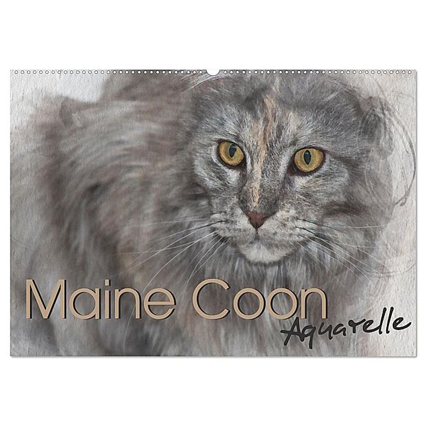 Maine Coon Aquarelle (Wandkalender 2024 DIN A2 quer), CALVENDO Monatskalender, Jasmin Hahn