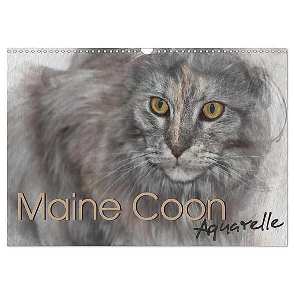 Maine Coon Aquarelle (Wandkalender 2024 DIN A3 quer), CALVENDO Monatskalender, Jasmin Hahn