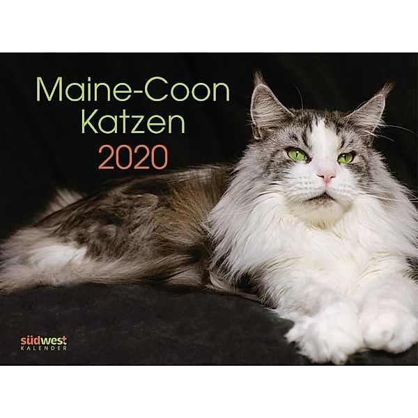 Maine-Coon-Katzen Wandkalender 2020, Karen Weißhaar