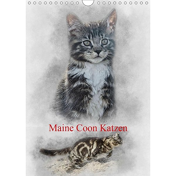 Maine Coon Katzen (Wandkalender 2021 DIN A4 hoch), Alain Gaymard