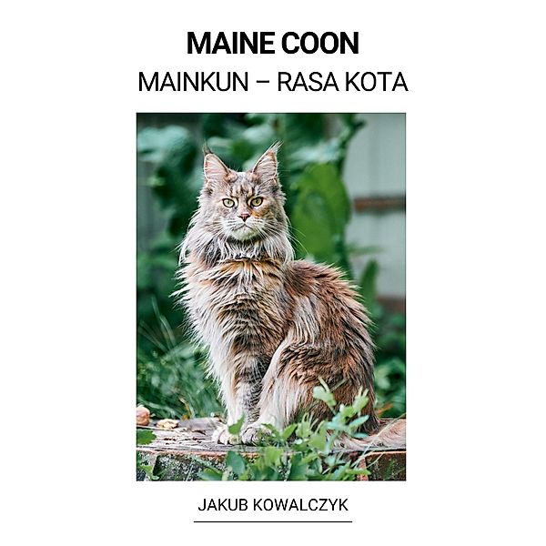 Maine Coon (Mainkun - Rasa Kota), Jakub Kowalczyk