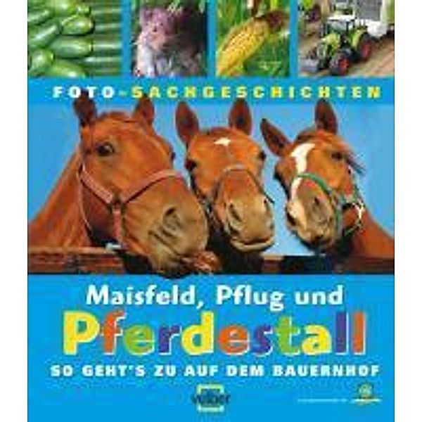 Maisfeld, Pflug und Pferdestall