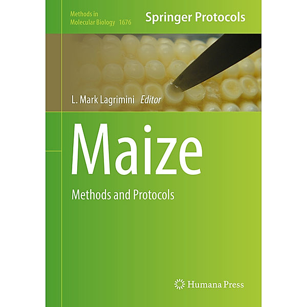 Maize