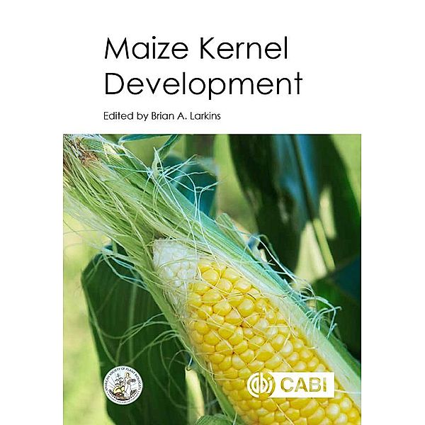 Maize Kernel Development