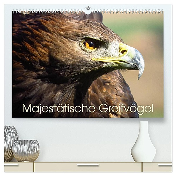 Majestätische Greifvögel (hochwertiger Premium Wandkalender 2024 DIN A2 quer), Kunstdruck in Hochglanz, Brigitte Dürr