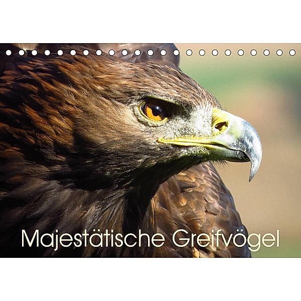 Majestätische Greifvögel (Tischkalender 2023 DIN A5 quer), Brigitte Dürr