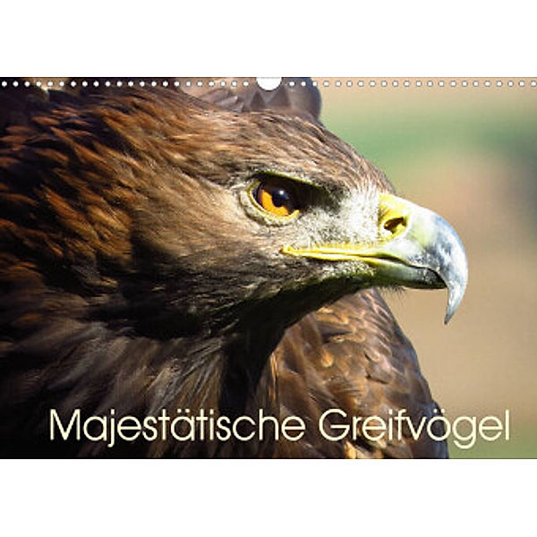 Majestätische Greifvögel (Wandkalender 2022 DIN A3 quer), Brigitte Dürr