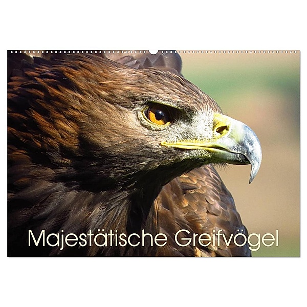 Majestätische Greifvögel (Wandkalender 2024 DIN A2 quer), CALVENDO Monatskalender, Brigitte Dürr