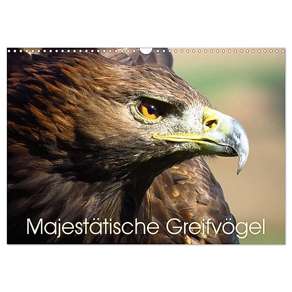 Majestätische Greifvögel (Wandkalender 2024 DIN A3 quer), CALVENDO Monatskalender, Brigitte Dürr