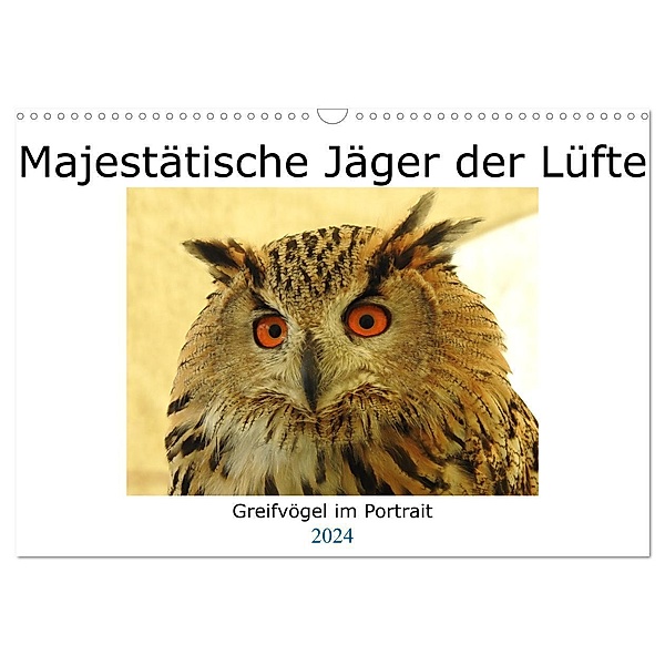 Majestätische Jäger der Lüfte (Wandkalender 2024 DIN A3 quer), CALVENDO Monatskalender, Dagmar Kolatschke