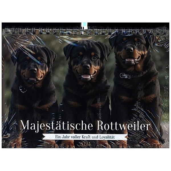 Majestätische Rottweiler: Ein Jahr voller Kraft und Loyalität (Tischkalender 2024 DIN A5 quer), CALVENDO Monatskalender, Ro-Design