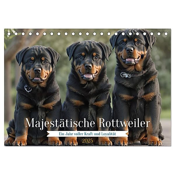 Majestätische Rottweiler: Ein Jahr voller Kraft und Loyalität (Tischkalender 2025 DIN A5 quer), CALVENDO Monatskalender, Calvendo, Ro-Design