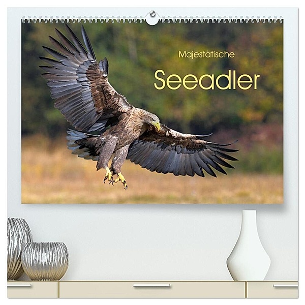Majestätische Seeadler (hochwertiger Premium Wandkalender 2025 DIN A2 quer), Kunstdruck in Hochglanz, Calvendo, Elmar Weiß