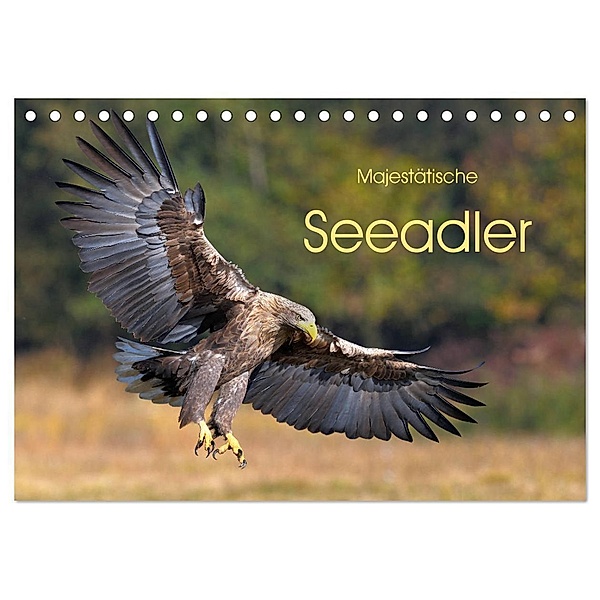 Majestätische Seeadler (Tischkalender 2024 DIN A5 quer), CALVENDO Monatskalender, Elmar Weiß