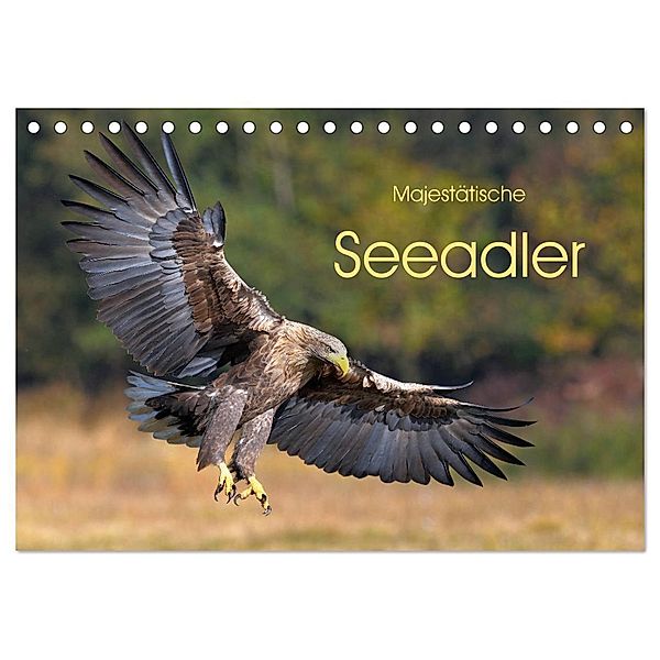 Majestätische Seeadler (Tischkalender 2025 DIN A5 quer), CALVENDO Monatskalender, Calvendo, Elmar Weiss