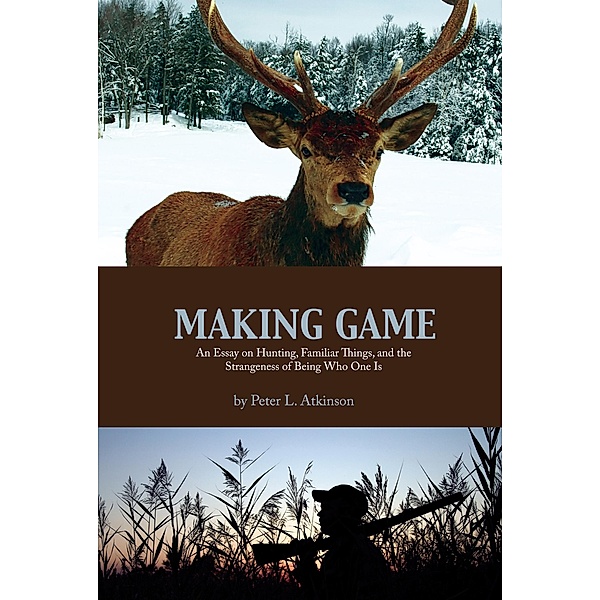 Making Game / Cultural Dialectics, Peter L. Atkinson